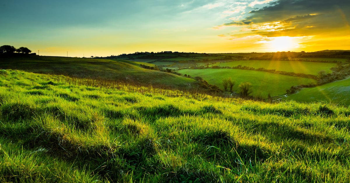Ireland eyes SEA as major market for grass-fed dairy, protein exports