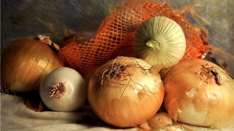Onions.jpg