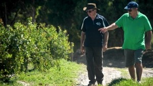 PomPersia founder Omid Rad (right) inspects young pomegranate trees with Adelaide Hills farmer Patrick Ryan