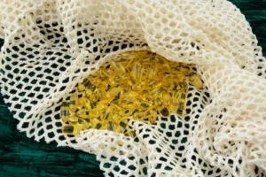 omega 3 fish oil sustainability marine sea epa dha iStock.com Merrimon