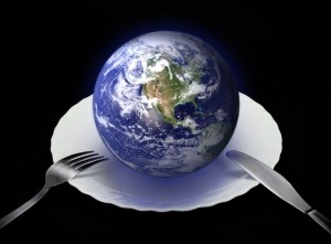 world on a plate, global food