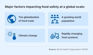 global-food-safety-infographic