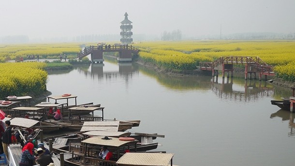 China: Xinghua duotian agrosystem