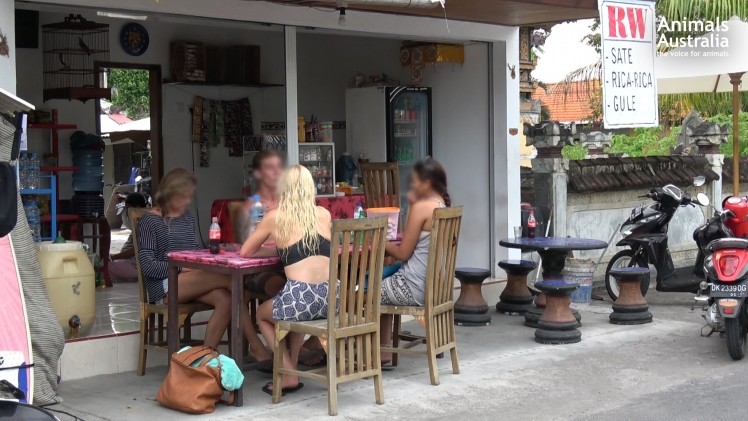 Tourists eat at dog meat restaurant