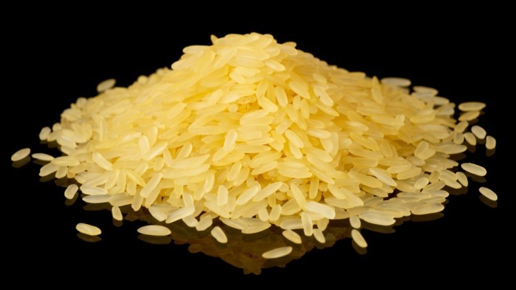Science says yes: Experts defend nutritional benefits of Golden Rice in wake of anti-GM protests