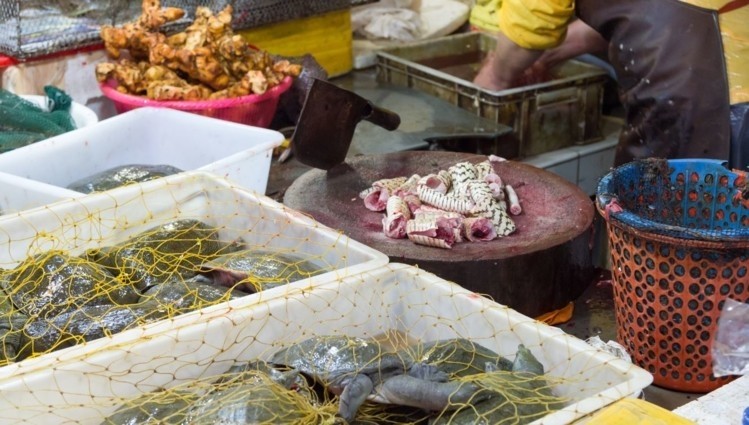 China coronavirus: Calls to ban live animal sales in wet markets to halt future outbreaks