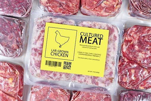 Go dark or go home: CP Foods cultivated meat partner Future Meat Technologies believes cracking dark meat production is answer to Asian growth