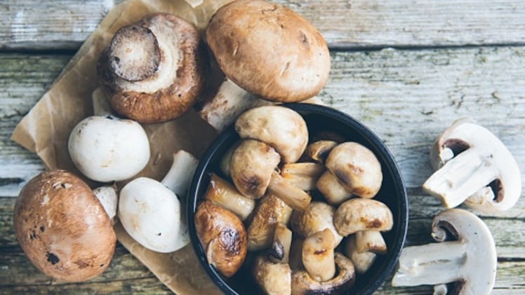 Mighty mushroom: Mycoprotein touted as future of protein due to flavour, nutrition and sustainability credentials