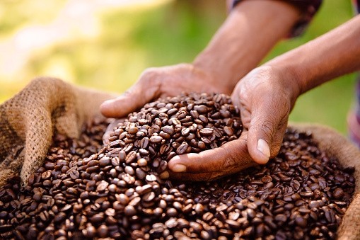 Green coffee goals: Nestle says Asian markets are key link to achieving new sustainability plan