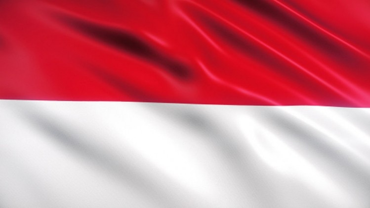 Limited access: Indonesia drafts new risk-based rules for imported processed foods