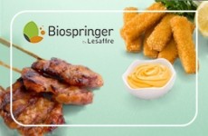 Unlocking yeast extract solutions for tastier and nutritious 2.0 plant-based meat, seafood and dairy
