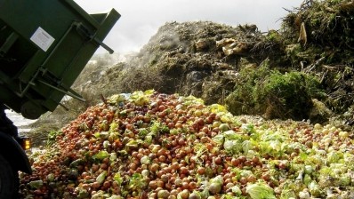 UAE sends food worth $4bn to landfills each year