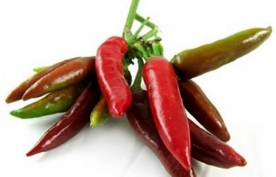 Spice update: Chilli glut subdues market, other spice prices suffering