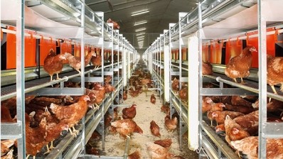 Rampant poultry antibiotics use leading to greater bacteria resistance