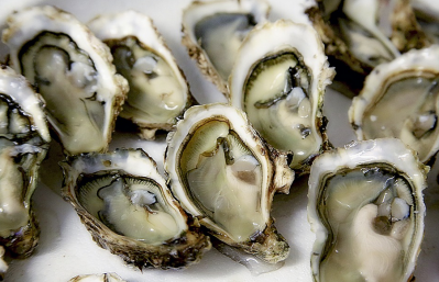 Norovirus outbreak linked to oysters