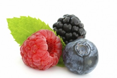 Purified anthocyanins show metabolic benefits in diabetics: RCT data