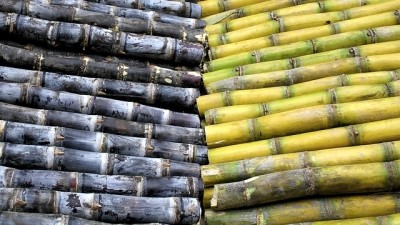 Vietnam’s first ‘fairer’ sugar auctions announced