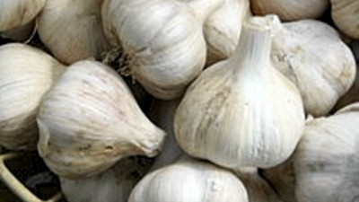 Markets update: Chinese garlic prices remain firm as yields decline