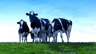 Up to 1m cattle to be cloned a year at new Tianjin facility