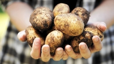 China releases production plans for new nutrition darling: the potato