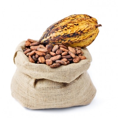 JV to tap into the increasing cocoa demand in Indonesia
