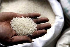 China finally looking to act on cadmium rice scandal