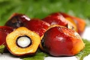 How sustainable is your palm oil supply?