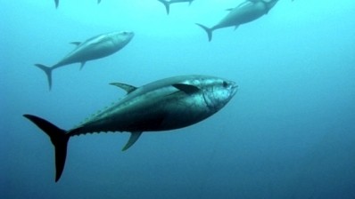 Uncertain outlook for Thai skipjack tuna prices