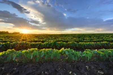 Drought sees less monsoon crops but soybean hits record acreage