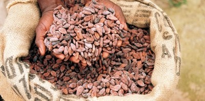 Indonesian deputy trade minister: “Given that cocoa bean demand for domestic processing is increasing significantly, we have to review our current import policy.