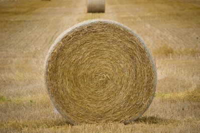 Guinness World Records:Hay bale has not been offically confirmed as a record-breaker