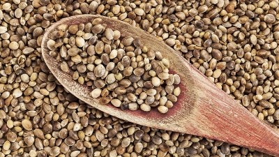 Hemp seed is legal as a food in most countries, but not Down Under