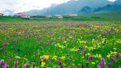 Grasslands in China's Qinghai Province