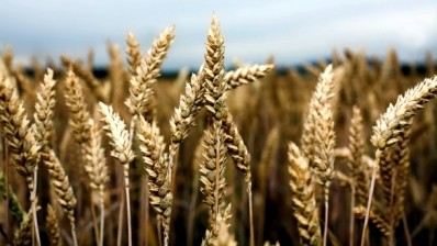 Indian wheat imports reach highest level in a decade