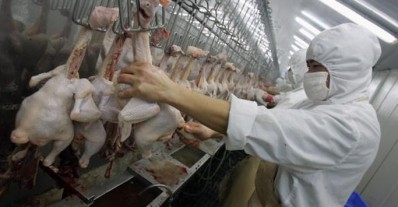 New USDA rule will not let Chinese poultry into America