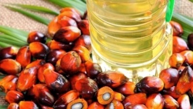 Certifier launches tougher palm oil standard for extreme compliance