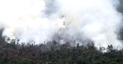 Indonesian plantation monopolies under threat