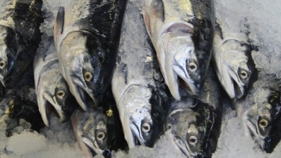 Kuwait fish boycott drives prices down