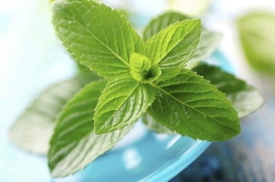 Kemin Industries’ Phenolic Complex K110-42 is derived from patent-pending, non-GMO lines of spearmint developed by Kemin plant scientists using traditional plant-breeding methods