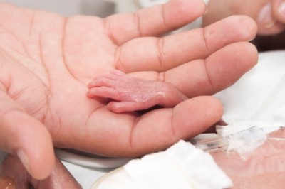 Probiotic strain Lactobacillus reuteri may help fight conditions that are life-threatening for preterm babies, say Australian researchers 