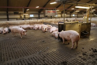 Decline in Chinese pork production impacts the global market 