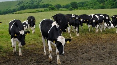 The Australian government has announced it is launching an inquiry into the country's dairy industry. 