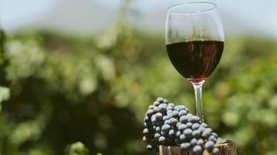 NZ begins process to ferment place as leading lifestyle wine exporter