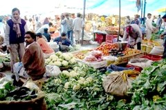 Delhi told to get tough after high pesticide levels found in produce