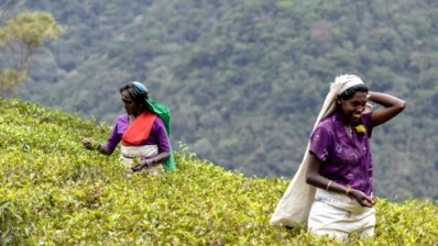 Sri Lankan tea and rubber smallholders to gain from IFAD loan