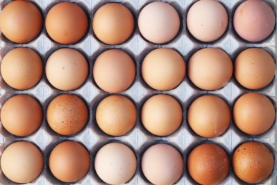 Chinese egg companies in hunt to find Western acquisitions