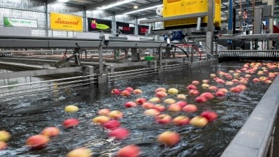 Australian fruit exporter takes bigger slice of apple pie
