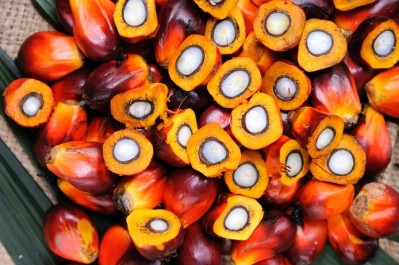 UK reports 'steady' progress on certified sustainable palm oil use - but should Green Palm figures be included in such calculations? 