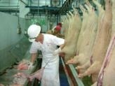 Abattoir cruelty causes stir in Australia