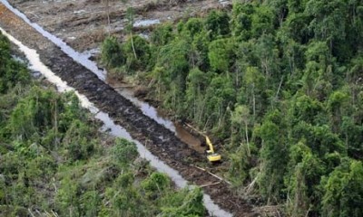 “The insinuation in this report that Malaysia is happily and mercilessly deforesting is manifestly false,